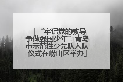 “牢记党的教导 争做强国少年”青岛市示范性少先队入队仪式在崂山区举办