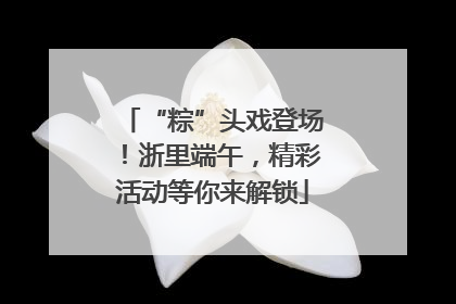 “粽”头戏登场！浙里端午，精彩活动等你来解锁