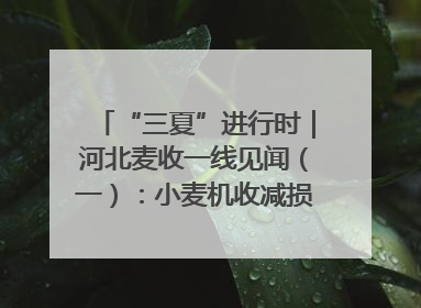 “三夏”进行时｜河北麦收一线见闻（一）：小麦机收减损“竞技” 农机高手麦田“过招”