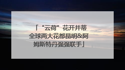 “云荷”花开并蒂 全球两大花都昆明&阿姆斯特丹强强联手
