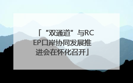 “双通道”与RCEP口岸协同发展推进会在怀化召开