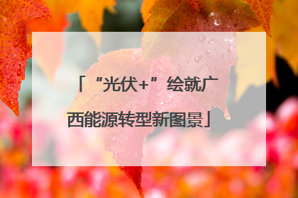 “光伏+”绘就广西能源转型新图景
