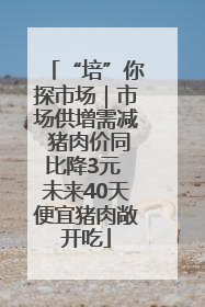 “培”你探市场｜市场供增需减 猪肉价同比降3元 未来40天便宜猪肉敞开吃