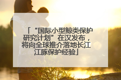 “国际小型鲸类保护研究计划”在汉发布，将向全球推介落地长江江豚保护经验