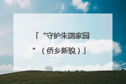 “守护朱鹮家园”（侨乡新貌）