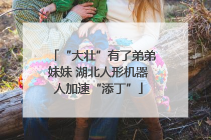 “大壮”有了弟弟妹妹 湖北人形机器人加速“添丁”