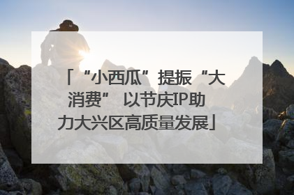 “小西瓜”提振“大消费” 以节庆IP助力大兴区高质量发展
