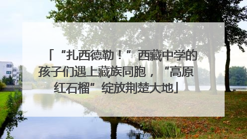 “扎西德勒！”西藏中学的孩子们遇上藏族同胞，“高原红石榴”绽放荆楚大地