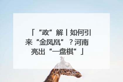 “政”解丨如何引来“金凤凰”？河南亮出“一盘棋”