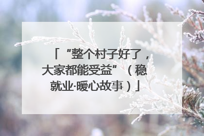 “整个村子好了，大家都能受益”（稳就业·暖心故事）