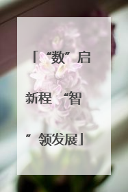 “数”启新程 “智”领发展