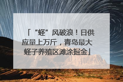 “蛏”风破浪！日供应量上万斤，青岛最大蛏子养殖区滩涂掘金