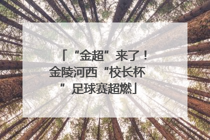 “金超”来了！金陵河西“校长杯”足球赛超燃