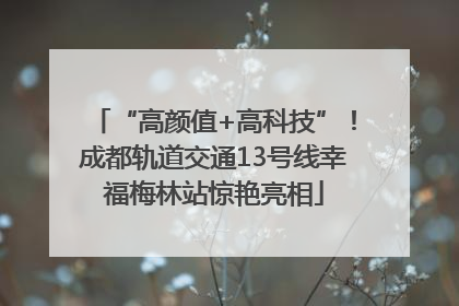 “高颜值+高科技”！成都轨道交通13号线幸福梅林站惊艳亮相