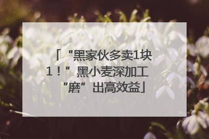 “黑家伙多卖1块1！”黑小麦深加工“磨”出高效益