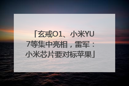 玄戒O1、小米YU7等集中亮相，雷军：小米芯片要对标苹果