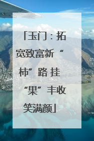 玉门：拓宽致富新“柿”路 挂“果”丰收笑满颜