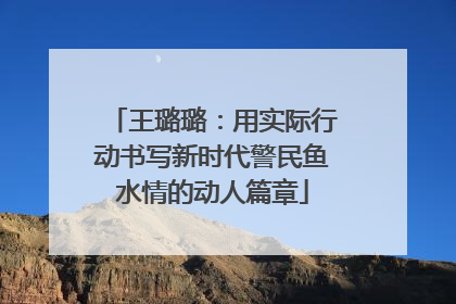 王璐璐：用实际行动书写新时代警民鱼水情的动人篇章