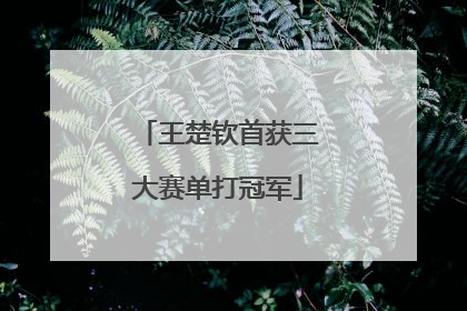 王楚钦首获三大赛单打冠军