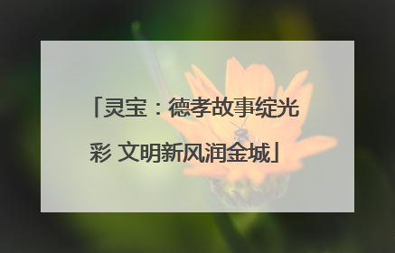 灵宝：德孝故事绽光彩 文明新风润金城