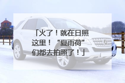火了！就在日照这里！“夏雨荷”们都去拍照了！