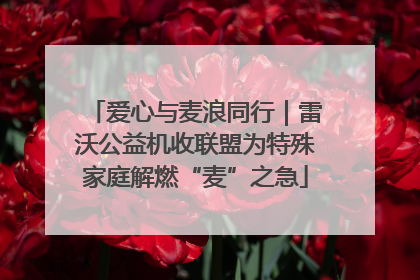爱心与麦浪同行｜雷沃公益机收联盟为特殊家庭解燃“麦”之急