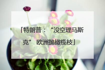 特朗普：“没空理马斯克” 欧洲抛橄榄枝