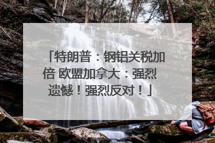特朗普：钢铝关税加倍 欧盟加拿大：强烈遗憾！强烈反对！