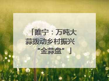 睢宁：万吨大蒜拨动乡村振兴“金蒜盘”