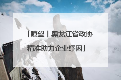 瞭望丨黑龙江省政协精准助力企业纾困