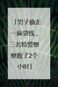 男子偷走一麻袋钱，三名特警整整数了2个小时