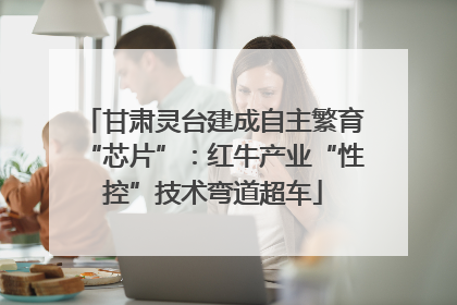 甘肃灵台建成自主繁育“芯片”：红牛产业“性控”技术弯道超车