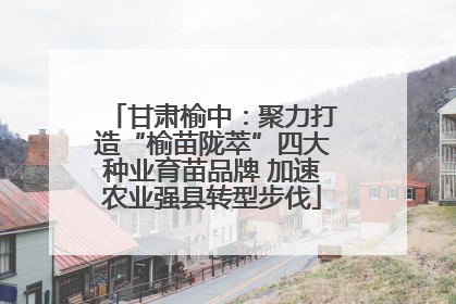 甘肃榆中：聚力打造“榆苗陇萃”四大种业育苗品牌 加速农业强县转型步伐
