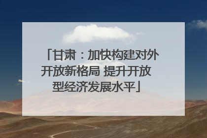 甘肃：加快构建对外开放新格局 提升开放型经济发展水平