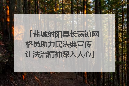 盐城射阳县长荡镇网格员助力民法典宣传 让法治精神深入人心