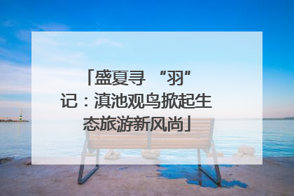 盛夏寻 “羽” 记：滇池观鸟掀起生态旅游新风尚