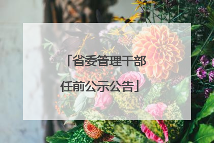 省委管理干部任前公示公告