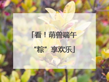 看！萌兽端午“粽”享欢乐