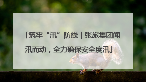 筑牢“汛”防线｜张旅集团闻汛而动，全力确保安全度汛