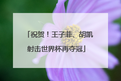 祝贺！王子菲、胡凯射击世界杯再夺冠