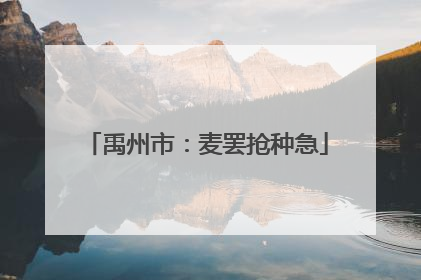 禹州市：麦罢抢种急