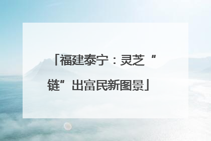 福建泰宁：灵芝“链”出富民新图景