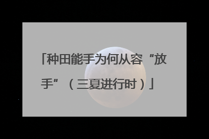 种田能手为何从容“放手”（三夏进行时）