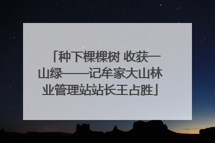 种下棵棵树 收获一山绿——记牟家大山林业管理站站长王占胜