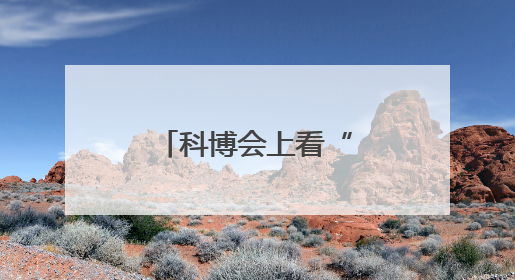 科博会上看“数字”大兴