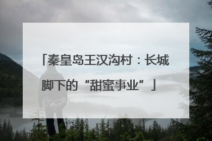 秦皇岛王汉沟村：长城脚下的“甜蜜事业”