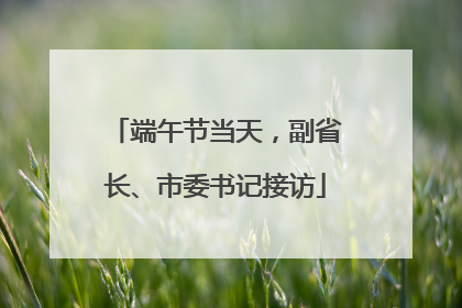 端午节当天，副省长、市委书记接访