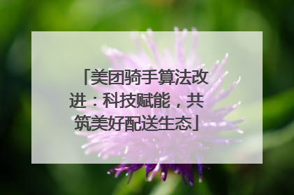 美团骑手算法改进：科技赋能，共筑美好配送生态