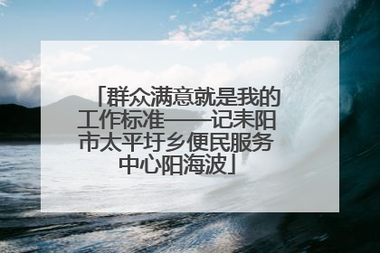 群众满意就是我的工作标准——记耒阳市太平圩乡便民服务中心阳海波