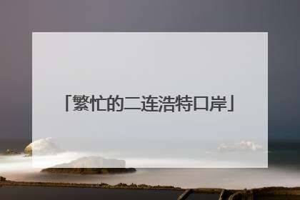 繁忙的二连浩特口岸